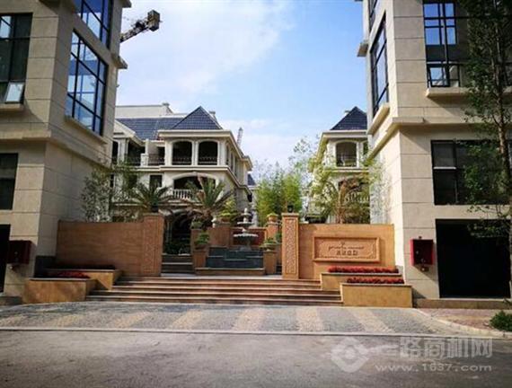 金涂宝3D彩粒漆