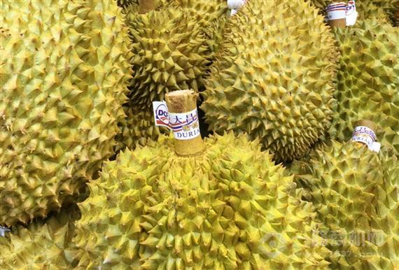 美宜多连锁超市