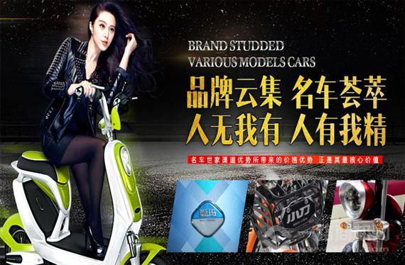 名车世家电动车