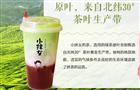 小抹女的茶