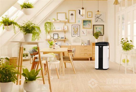 瑞斯普空气净化