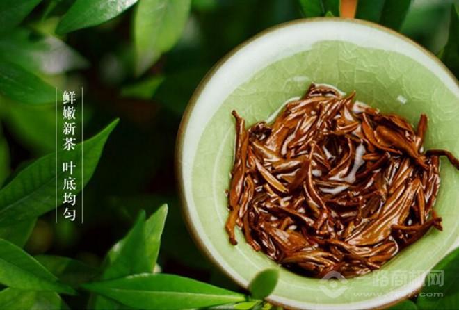 狮井茶叶 狮井茶叶