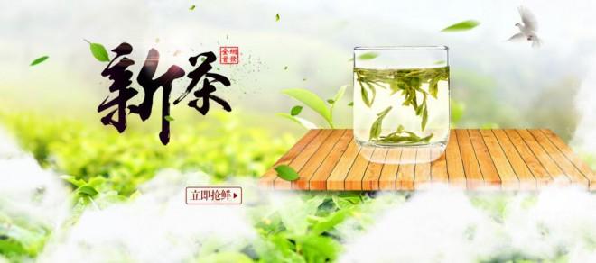 狮井茶叶 狮井茶叶