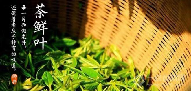 狮井茶叶加盟 狮井茶叶加盟