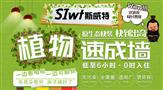 斯威特植物速成墙
