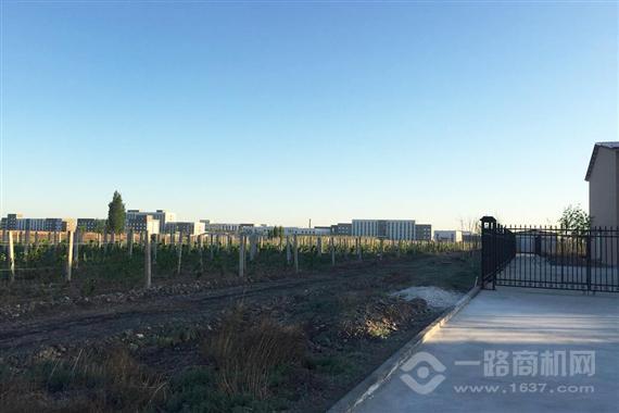 酥红波特葡萄酒