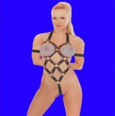 愛(ài)琴海成人用品