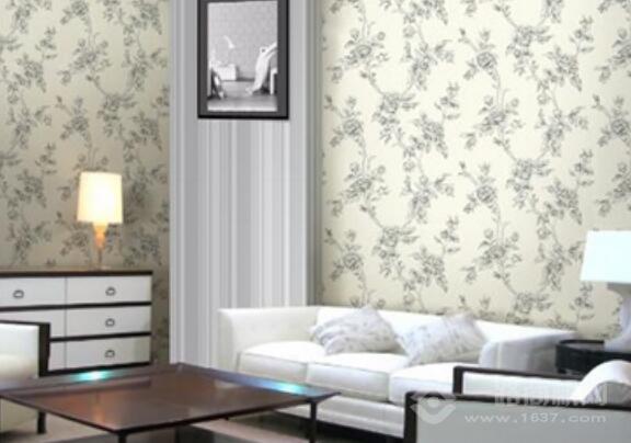 金莎丽纳米彩晶膜加盟