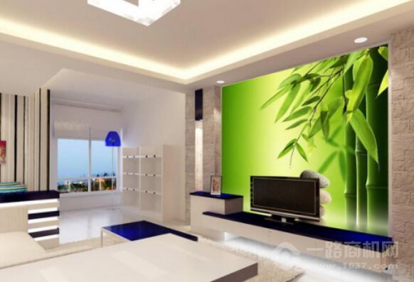 金莎丽纳米彩晶膜