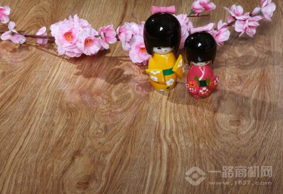 惠尔嘉地板 惠尔嘉地板