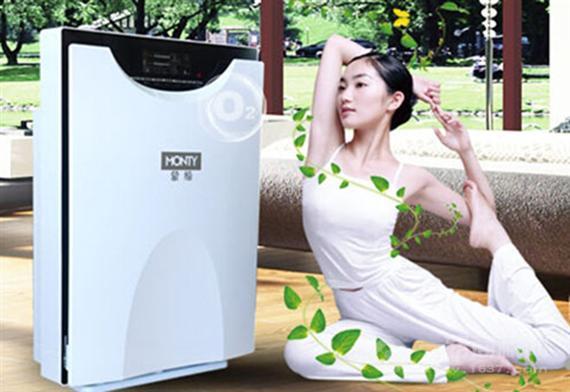 蒙缔空气净化器