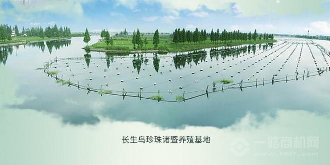 长生鸟化妆品加盟 长生鸟化妆品加盟