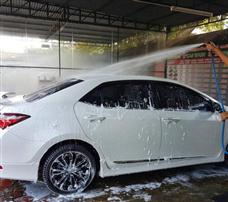 蜥蜴洗车