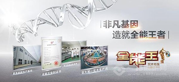 联丰地板加盟