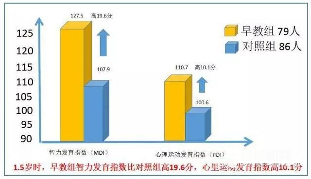 麦迪森早教