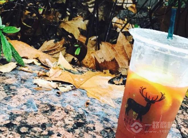 茗小鹿