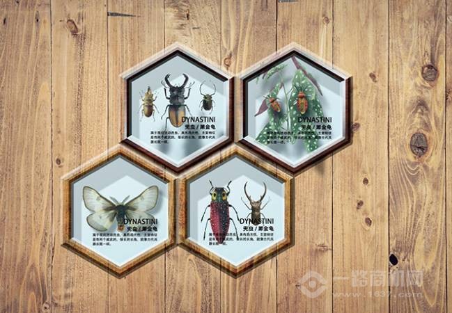 御贝国际幼儿园