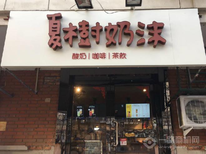 夏树奶沫加盟 夏树奶沫加盟