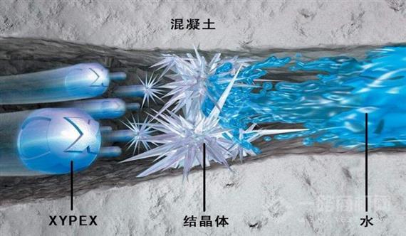 赛柏斯防水材料