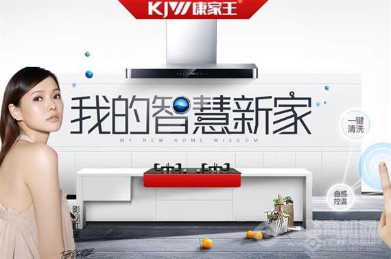 康家王厨卫电器