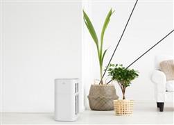 菲爾特空氣凈化