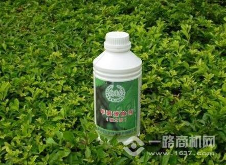 绿安仕空气净化加盟 绿安仕空气净化加盟