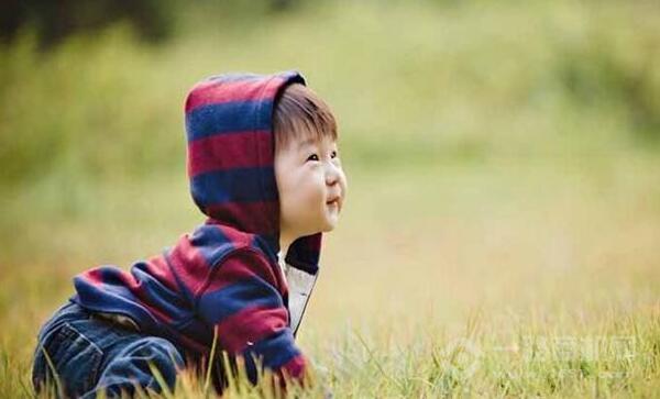 螞蟻大象兒童攝影