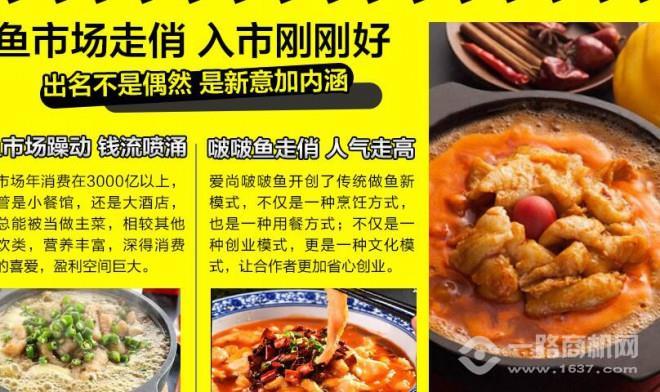 漁樂全啵啵魚