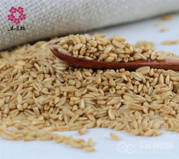 五朵梅五谷杂粮