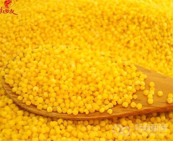 红罗女五谷杂粮