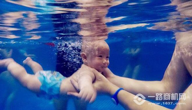 爱贝迪亲子游泳中心加盟 爱贝迪亲子游泳中心加盟