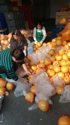 驛站聯(lián)盟拼團(tuán)