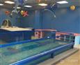 星游宝贝婴儿游泳馆