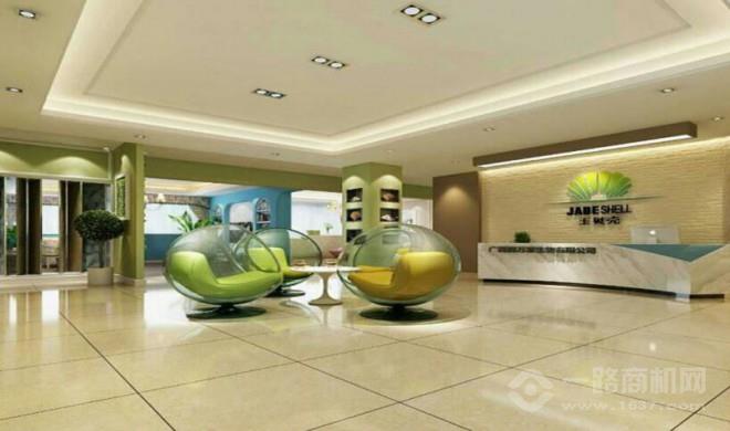 玉贝壳贝壳粉 玉贝壳贝壳粉