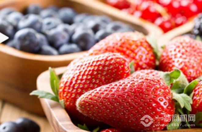 食得鲜线上平价超市加盟 食得鲜线上平价超市加盟