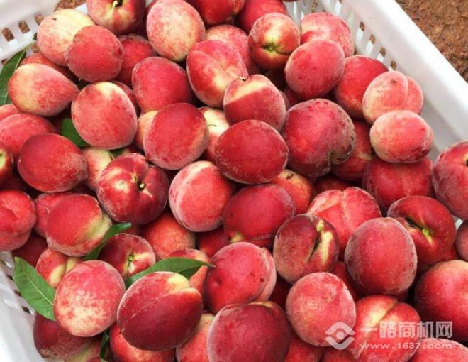 優(yōu)品果匯加盟
