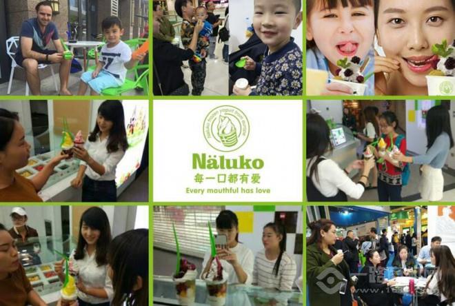 娜露可酸奶冰淇淋加盟