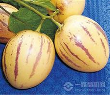 茂雄生鲜
