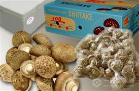 茂雄生鲜