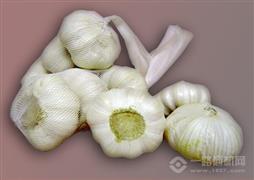茂雄生鲜