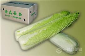 茂雄生鲜
