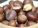 立年代板栗