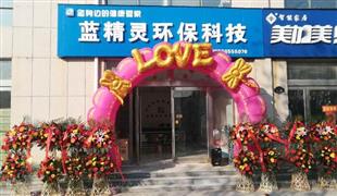 藍精靈環(huán)保除甲醛