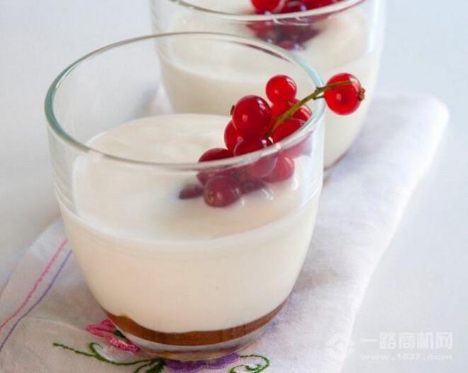 蜗牛家秘制酸奶酪 蜗牛家秘制酸奶酪