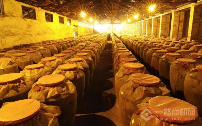 醉倚楼白酒加盟