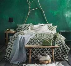 森林莊園貝殼粉