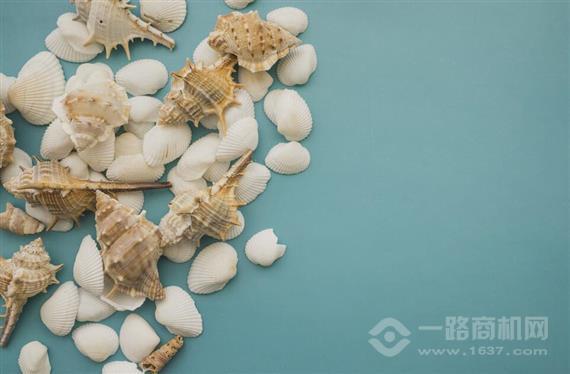 萨丁贝壳珍珠粉