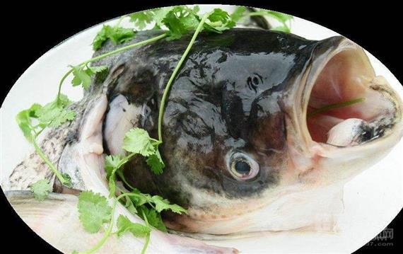 鱼乡码头鱼火锅