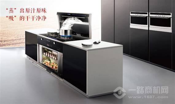 多意集成环保灶