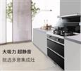 多意集成环保灶
